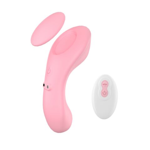 Remote Control Vibrating Panty Vibe